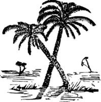 Date-tree vintage illustration. vector