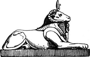 Crouching Ram Head Sphinx has a head of a ram and the body of a lion, vintage engraving. vector