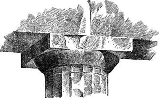 Echinus Molding, A Capital of the Parthenon, vintage engraving. vector