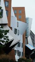 The beautiful university campus view with old buildings in Boston of USA photo