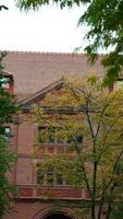 The beautiful campus autumn view with the colorful trees and leaves in the rainy day photo