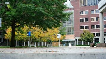 The beautiful campus autumn view with the colorful trees and leaves in the rainy day photo