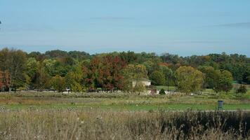 The beautiful autumn view with the colorful trees and leaves in the park photo