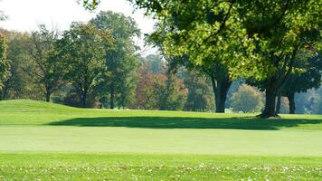 The beautiful autumn view with the colorful trees and leaves in the park photo