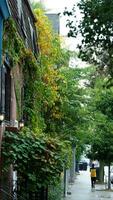 The beautiful campus autumn view with the colorful trees and leaves in the rainy day photo