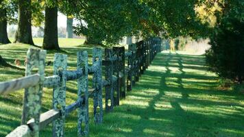 The wood fence view with the green meadow and colorful trees as background in autumn photo