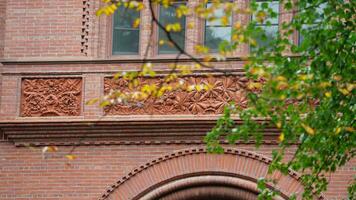 The beautiful campus autumn view with the colorful trees and leaves in the rainy day photo