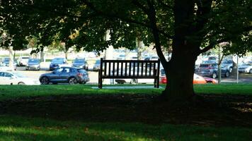 The beautiful autumn view with the colorful trees and leaves in the park photo