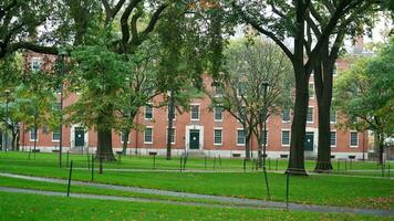 The beautiful campus autumn view with the colorful trees and leaves in the rainy day photo