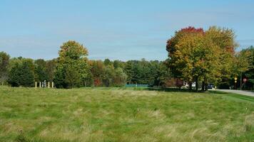 The beautiful autumn view with the colorful trees and leaves in the park photo