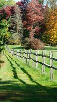 The wood fence view with the green meadow and colorful trees as background in autumn photo