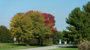 The beautiful autumn view with the colorful trees and leaves in the park photo