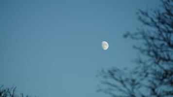 The moon night view with the full moon and clouds in the sky photo