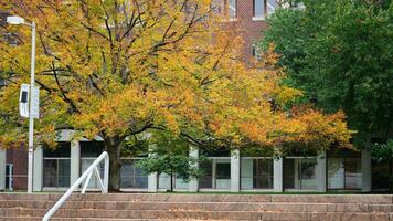 The beautiful campus autumn view with the colorful trees and leaves in the rainy day photo