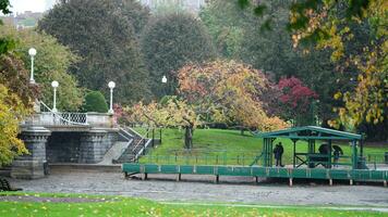 The beautiful campus autumn view with the colorful trees and leaves in the rainy day photo