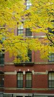 The beautiful campus autumn view with the colorful trees and leaves in the rainy day photo