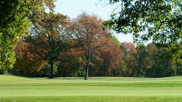 The beautiful autumn view with the colorful trees and leaves in the park photo