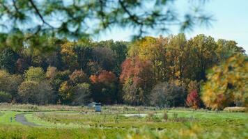 The beautiful autumn view with the colorful trees and leaves in the park photo