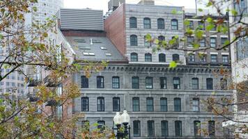 The beautiful campus autumn view with the colorful trees and leaves in the rainy day photo