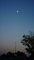 The moon night view with the full moon and clouds in the sky photo