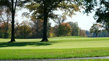 The beautiful autumn view with the colorful trees and leaves in the park photo