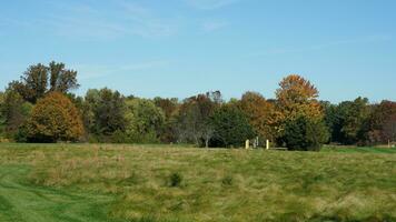 The beautiful autumn view with the colorful trees and leaves in the park photo