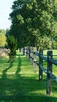 The wood fence view with the green meadow and colorful trees as background in autumn photo