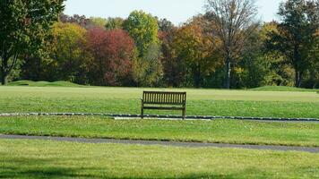 The beautiful autumn view with the colorful trees and leaves in the park photo