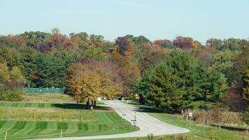 The beautiful autumn view with the colorful trees and leaves in the park photo