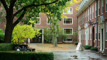 The beautiful campus autumn view with the colorful trees and leaves in the rainy day photo