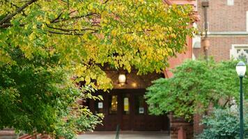 The beautiful campus view with the colorful trees and leaves in autumn photo