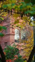 The beautiful campus view with the colorful trees and leaves in autumn photo