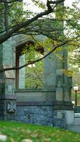 The beautiful campus view with the colorful trees and leaves in autumn photo