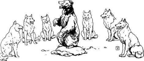 Baloo Singing to Wolves, vintage illustration vector