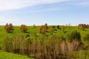 wide green fields with a gorge photo