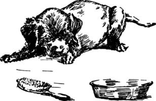Puppy, vintage illustration. vector