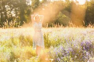 beautiful girl in a summer field photo