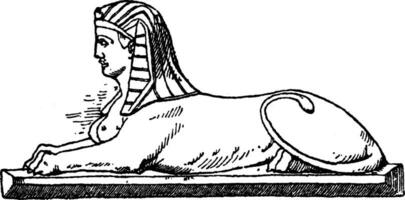 Modern Crouching Sphinx is a modern design of the bust of a woman and the body of a lion, vintage engraving. vector