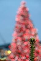 abeto cerca arriba y bokeh de iluminado Navidad árbol en convento jardín, Londres foto