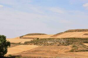 Scenic desert landscape photo