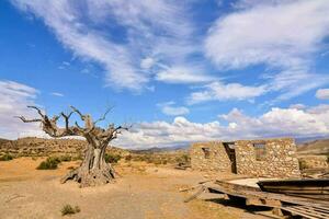 Scenic desert landscape photo