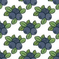 Color hand engraved blueberry seamless pattern vector