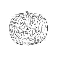 un mano dibujado Jack-o-lantern o tallado calabaza ilustrado en negro y blanco. Perfecto para un Víspera de Todos los Santos temática artículo. vector