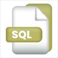 SQL file format icon. SQL file format 3d render icon on white background. SQL file format document color icon vector