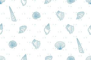 Illustration pattern of Shell line with dot blue color on white background. vector