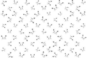 illustration the face of cat pattern on white background. vector