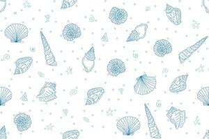 Illustration pattern of Shell line with dot blue color on white background. vector