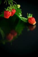 Ripe juicy red strawberry on black background photo