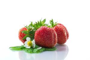 fresh ripe organic red strawberry on white background photo