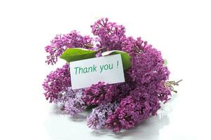 bouquet of different blooming spring lilacs on white background photo